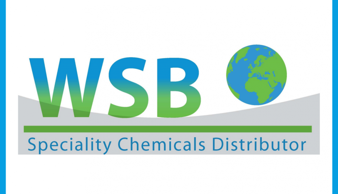 WSB logo - blue box 1 - 50px